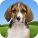 Puppy Palooza: Puppy Pursuit